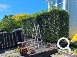 Garden Clean up Botany, Hedge & Tree Trimming, Lawnmowing and more. Eastern Property Services