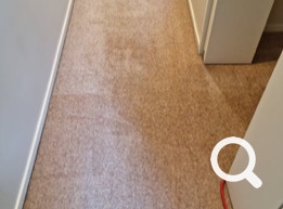 Carpet Cleaning Pakuranga, Carpet Repairs, Carpet Stretching, Flood Restoration. Eastern Property Services