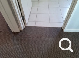 Carpet Cleaning Pakuranga, Carpet Repairs, Carpet Stretching, Flood Restoration. Eastern Property Services