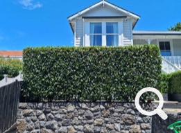 Garden Clean up Botany, Hedge & Tree Trimming, Lawnmowing and more. Eastern Property Services