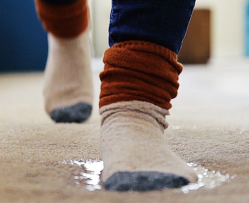 Carpet Cleaning Mission Bay, Carpet Repairs, Carpet Drying, Carpet Stretching, Flood Restoration. Clean My Carpet